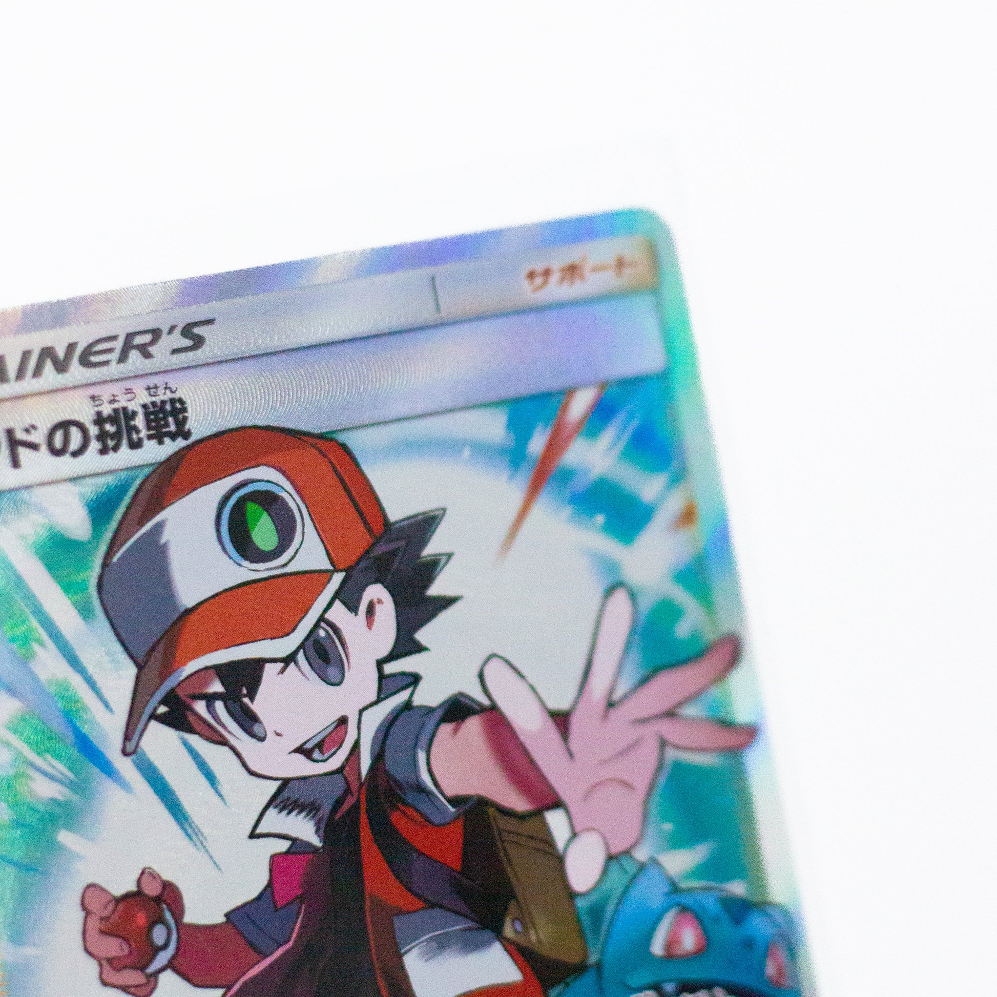 Pokemon Sleeves