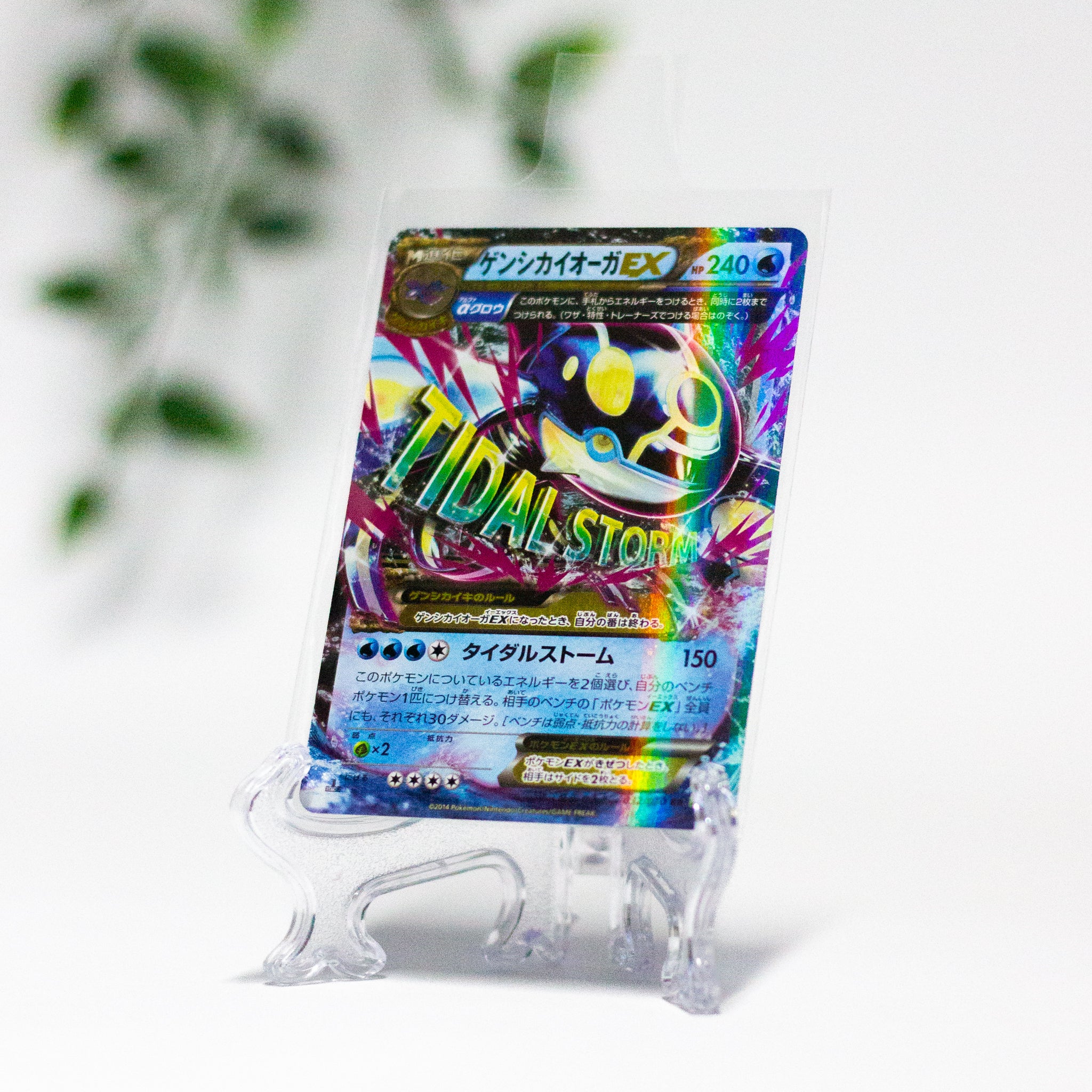 Pokemon kaart hoesjes